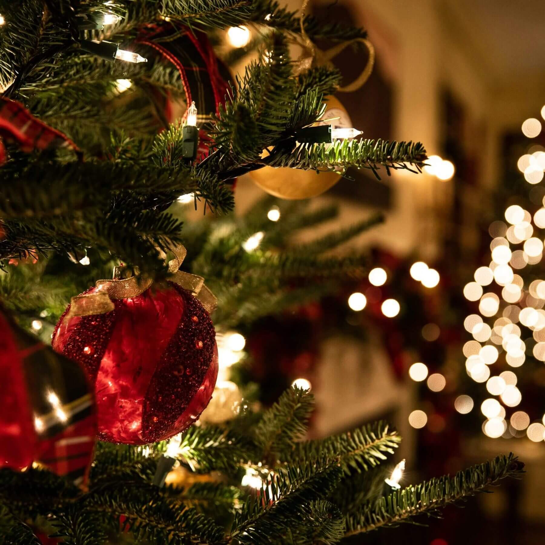 festive holiday christmas tree close up